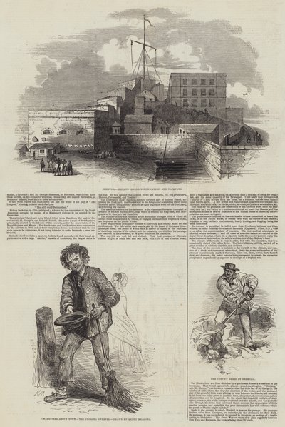 Bermudes, l